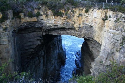 Cruise Ship Special From Port Arthur: Explore Tasman Peninsula With Free WiFi - Tourism Caloundra 0