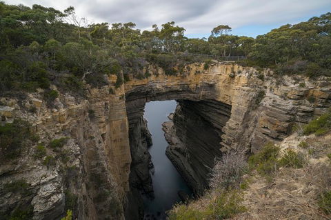 Cruise Ship Special From Port Arthur: Explore Tasman Peninsula With Free WiFi - Tourism Caloundra 2
