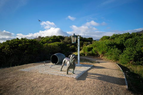 Cruise Ship Special From Port Arthur: Explore Tasman Peninsula With Free WiFi - Tourism Caloundra 9