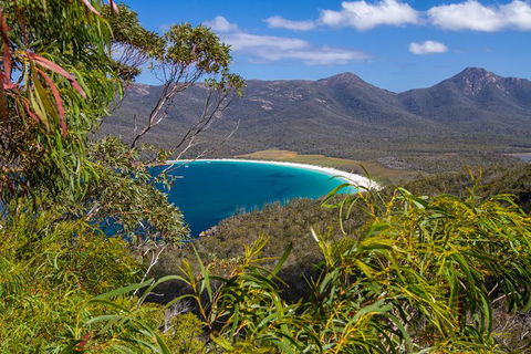 4x4 And Lunch Full Day Freycinet And Wineglass Bay - Tourism Caloundra 1
