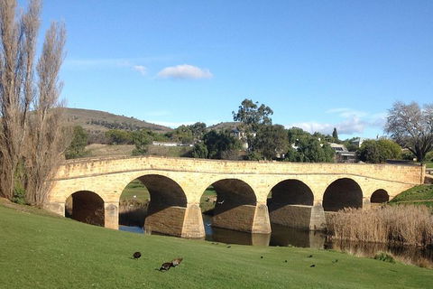 Private Bonorong Wildlife Sanctuary And Richmond 5 Hour Trip From Hobart - Tourism Caloundra 1