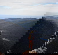 Mount Field National Park - Tarn Shelf  Russell Falls - Guided Hiking Tour - Tourism Caloundra