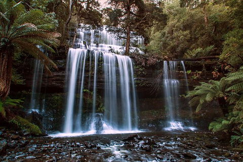 2-Day: Hiking Tour: Maria Island & Mount Field - Tourism Caloundra 10