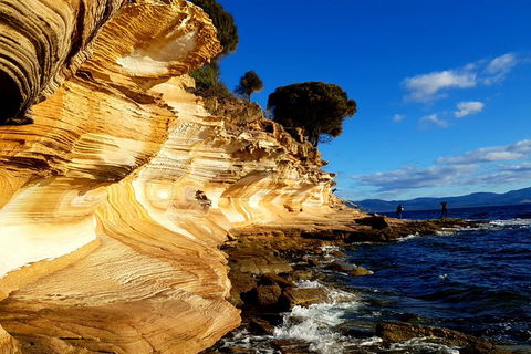 2-Day: Hiking Tour: Maria Island & Mount Field - Tourism Caloundra 7