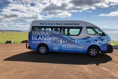 Maria Island Shuttle Bus Hobart To Triabunna (Round Trip) - Tourism Caloundra 5