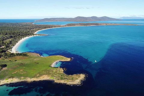 Maria Island Shuttle Bus Hobart To Triabunna (Round Trip) - Tourism Caloundra 9