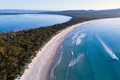 Maria Island Shuttle Bus Hobart To Triabunna (Round Trip) - Tourism Caloundra 6