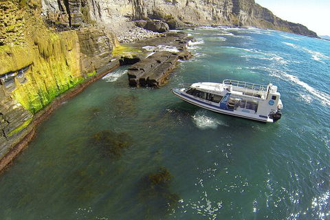 Maria Island Shuttle Bus Hobart To Triabunna (Round Trip) - Tourism Caloundra 3