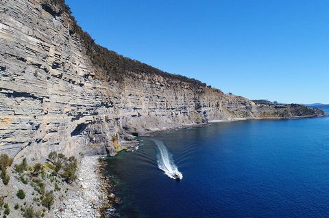 Maria Island Shuttle Bus Hobart To Triabunna (Round Trip) - Tourism Caloundra 11