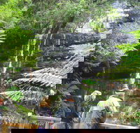 Mt Field National Park and Russell Falls from Hobart - Tourism Caloundra