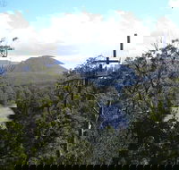 Huon Valley and Tahune Forest Airwalk Tour from Hobart - Tourism Caloundra