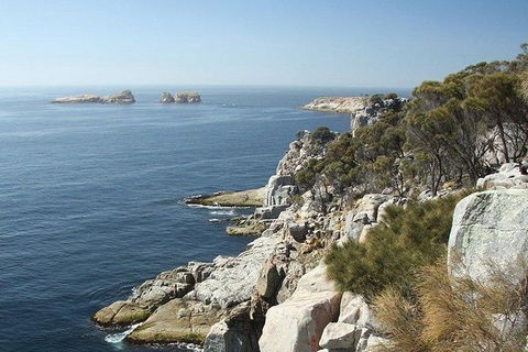 Great Walks Of Australia: 4-Day Freycinet Experience Walk - Tourism Caloundra 10