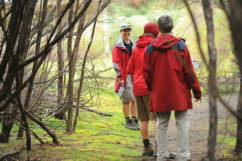 Great Walks Of Australia: 4-Day Freycinet Experience Walk - Tourism Caloundra 7
