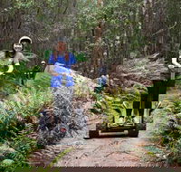 Hollybank Wilderness Adventures - Segway Tour - Tourism Caloundra