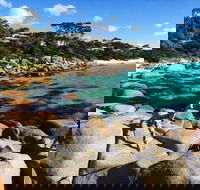 4-Day Tasmania East Coast Adventure from Launceston to Hobart Including Bay of Fires Wineglass Bay Bruny Island and Port Arthu - Tourism Caloundra