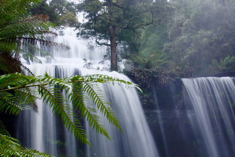 Mt. Field National Park And Bonorong Wildlife Park - Tourism Caloundra 1