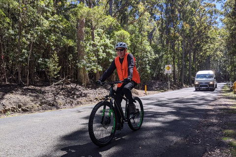 Mount Wellington Descent Cycling Tour Departs Hobart - Tourism Caloundra 10