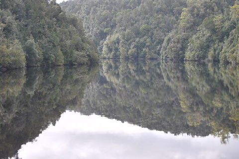 Gordon River Cruise Departing From Strahan - Tourism Caloundra 17