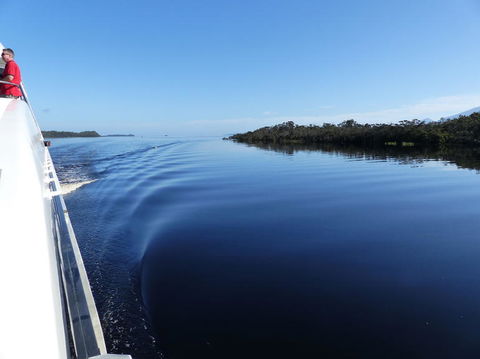 Gordon River Cruise Departing From Strahan - Tourism Caloundra 3