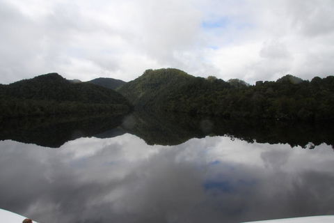 Gordon River Cruise Departing From Strahan - Tourism Caloundra 18
