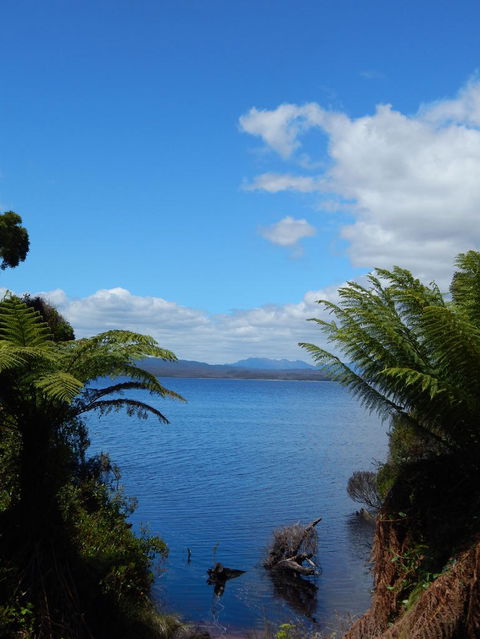 Gordon River Cruise Departing From Strahan - Tourism Caloundra 20