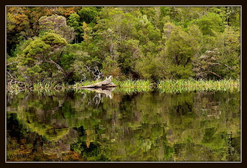Gordon River Cruise Departing From Strahan - Tourism Caloundra 12