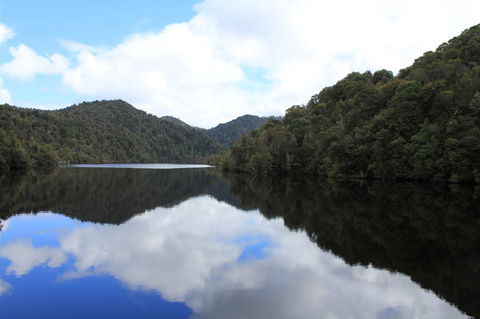 Gordon River Cruise Departing From Strahan - Tourism Caloundra 21
