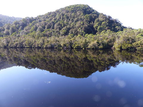 Gordon River Cruise Departing From Strahan - Tourism Caloundra 4