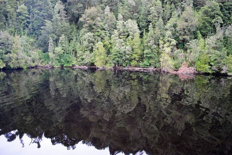 Gordon River Cruise Departing From Strahan - Tourism Caloundra 24