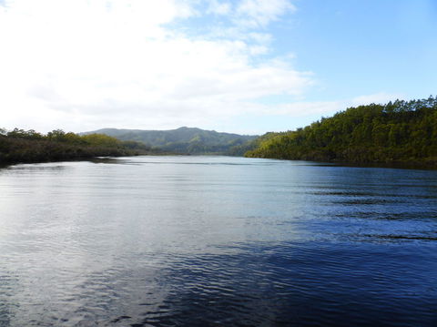 Gordon River Cruise Departing From Strahan - Tourism Caloundra 10