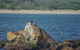 Gordon River Cruise Departing From Strahan - thumb 11