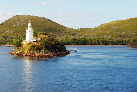 Gordon River Cruise Departing From Strahan - Tourism Caloundra 25