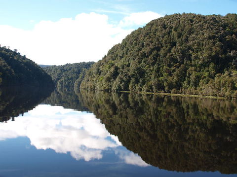Gordon River Cruise Departing From Strahan - Tourism Caloundra 16