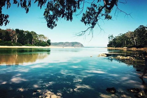 Full-Day Guided Bruny Island Tour From Hobart - Tourism Caloundra 4