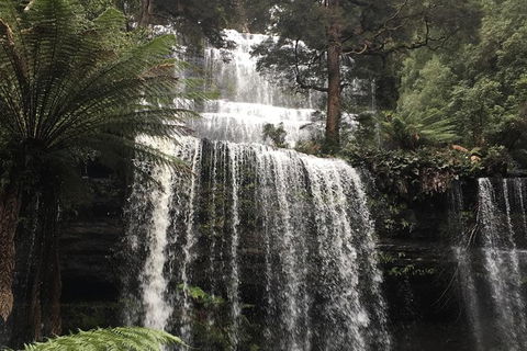 Wilderness And Wildlife - Tourism Caloundra 1