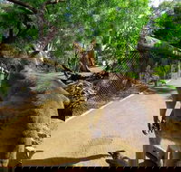 Wilderness and Wildlife - Tourism Caloundra