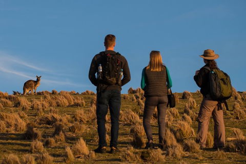 Small Group Tasmanias Wilderness And Wildlife Day Tour - Tourism Caloundra 0