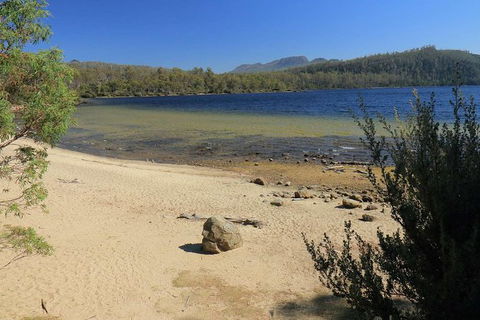 Lake St. Clair And Western Wilderness Active Day Trip From Hobart - Tourism Caloundra 5