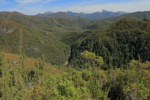 Lake St. Clair And Western Wilderness Active Day Trip From Hobart - Tourism Caloundra 9