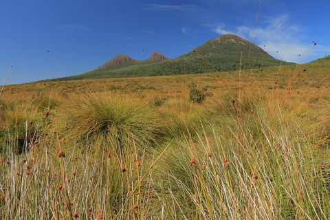 Lake St. Clair And Western Wilderness Active Day Trip From Hobart - Tourism Caloundra 11