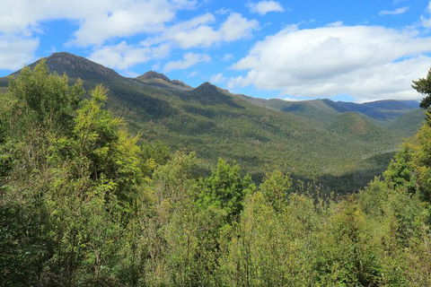 Lake St. Clair And Western Wilderness Active Day Trip From Hobart - Tourism Caloundra 13