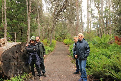 Lake St. Clair And Western Wilderness Active Day Trip From Hobart - Tourism Caloundra 8