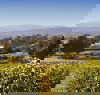 Josef Chromy Wines Winery Tour Including Tasting and Lunch - Tourism Caloundra
