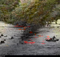 Meander Wilderness Experiences - Tourism Caloundra