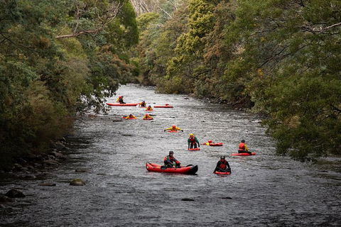 Meander Wilderness Experiences - Tourism Caloundra 0
