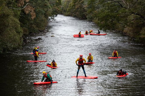 Meander Wilderness Experiences - Tourism Caloundra 3