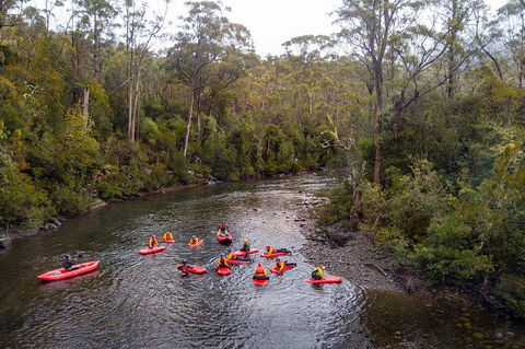 Meander Wilderness Experiences - Tourism Caloundra 6