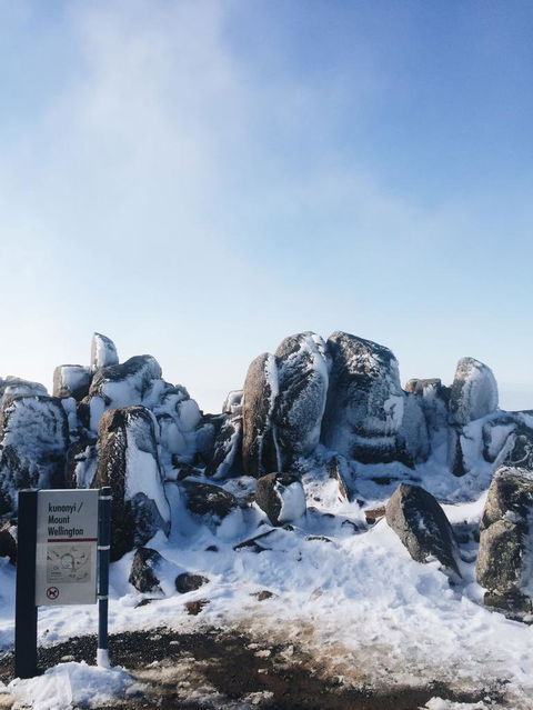 Small-Group Tour From Hobart: Mt Wellington, Bonorong Wildlife Park And Richmond - Tourism Caloundra 3