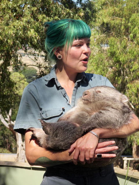Small-Group Tour From Hobart: Mt Wellington, Bonorong Wildlife Park And Richmond - Tourism Caloundra 8