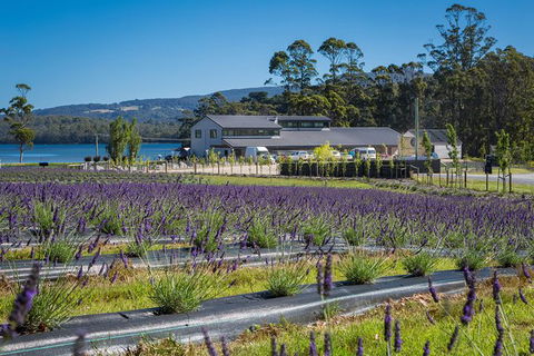 Private Tasman Peninsula Cruise Ship Tour From Port Arthur - Tourism Caloundra 0